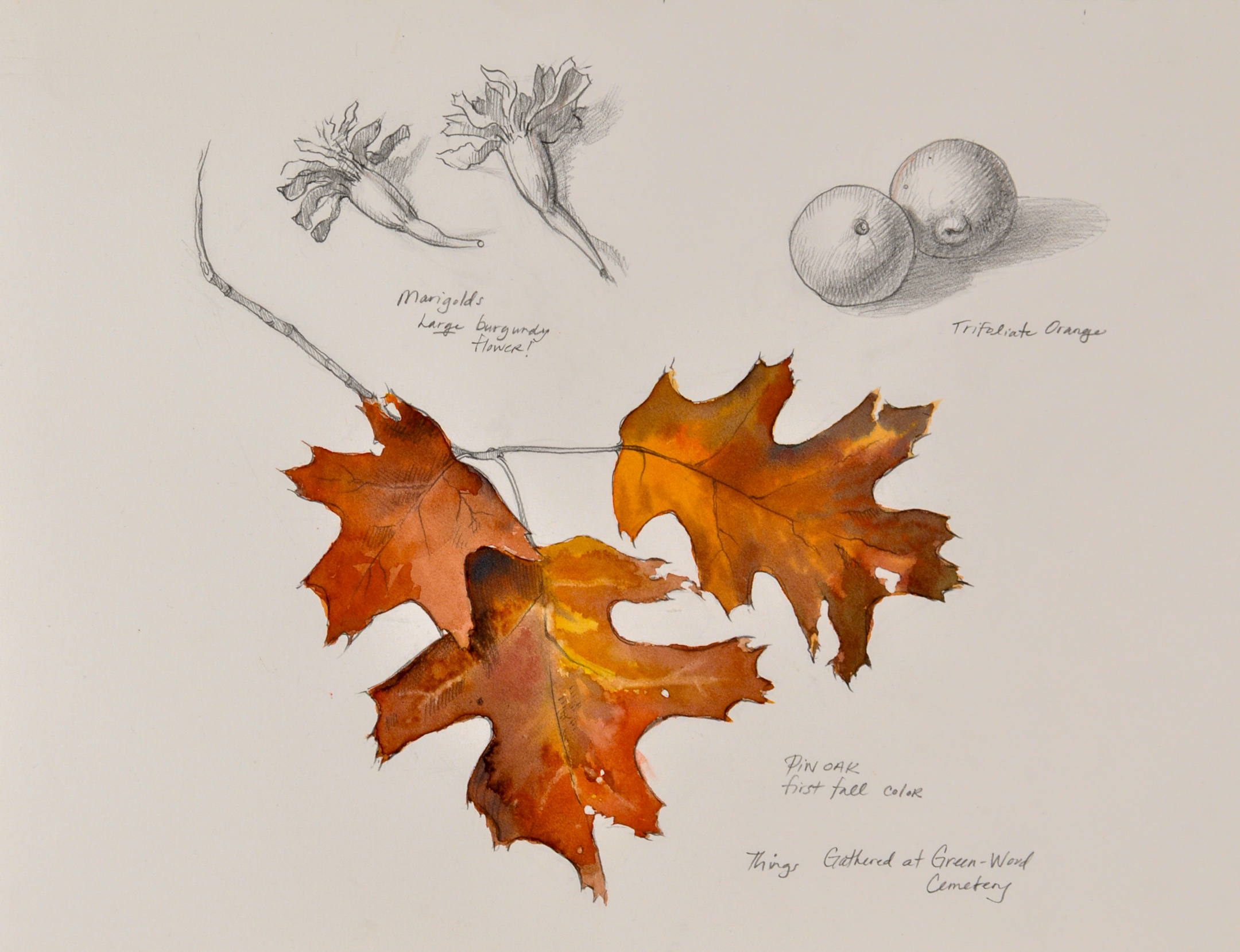 a1f6997610e9dbba0dd0fbdbdd48f839-Patricia%20Watwood_Green-Wood%20Gatherings_orange%20oak%20leaves1%20mb.jpg