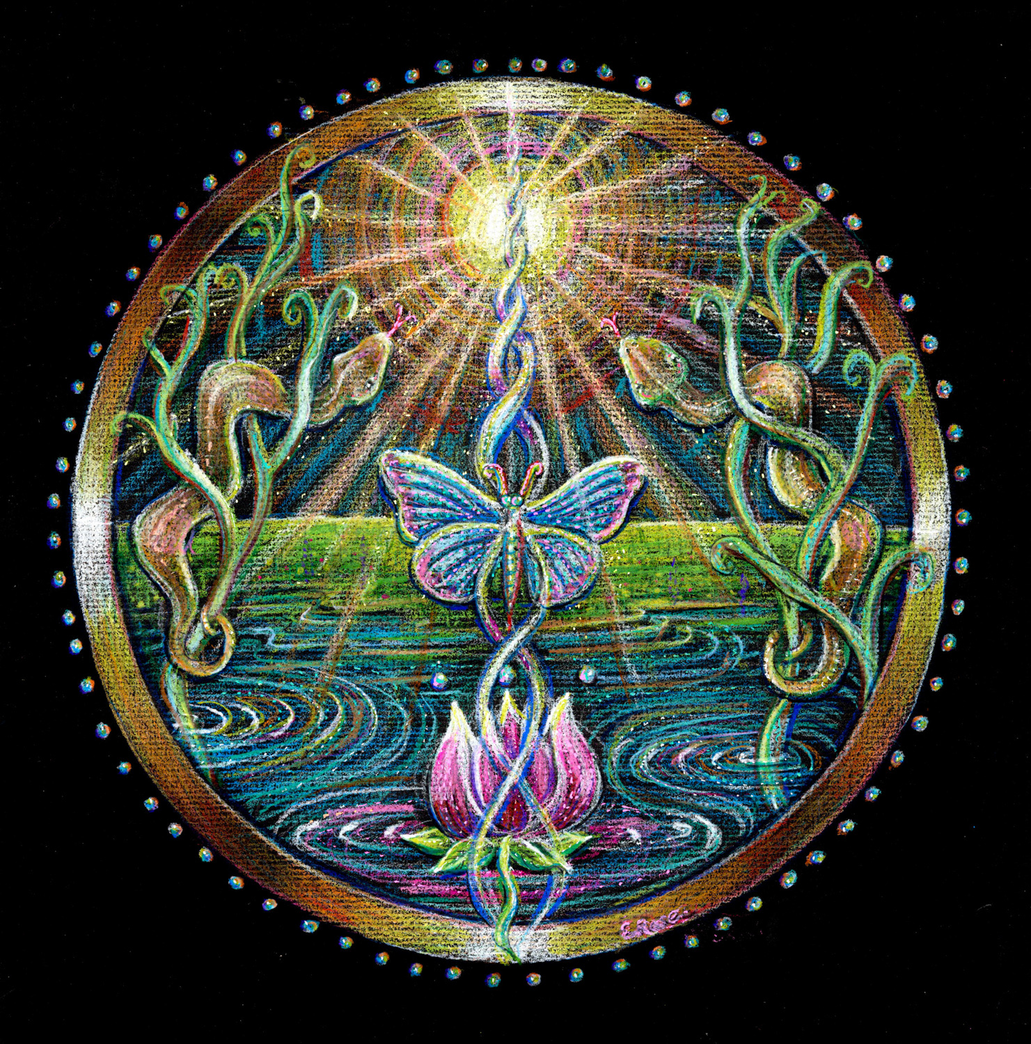 ada156cf94a9cf042ef2f60dc7b6b572-Illuminate%20Rose%20Mandala-81%20mb1%20mb.jpg