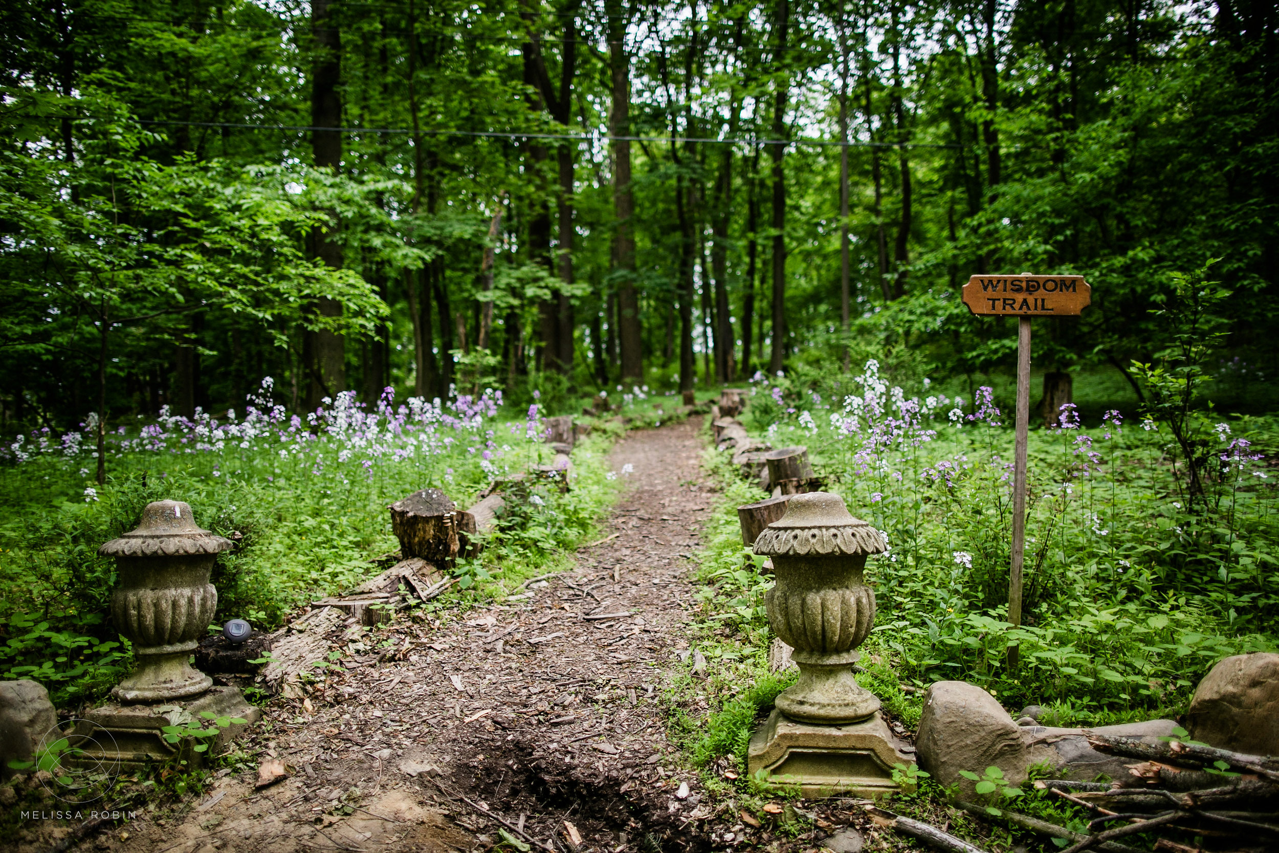 Wisdom Trail