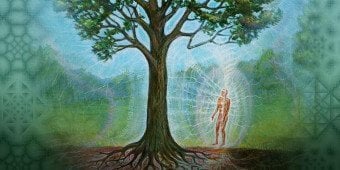 Legacy Tree